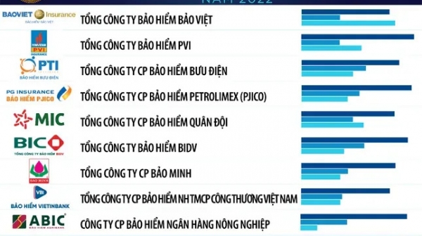 Bảo Hiểm Bảo Việt Đứng Đầu Top 10 Công Ty Bảo Hiểm Phi Nhân Thọ Uy Tín 2022